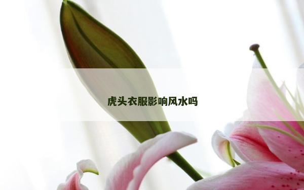 虎头衣服影响风水吗
