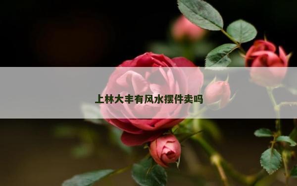上林大丰有风水摆件卖吗