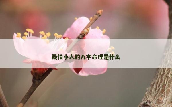 最怕小人的八字命理是什么