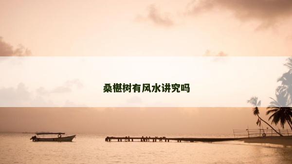 桑椹树有风水讲究吗
