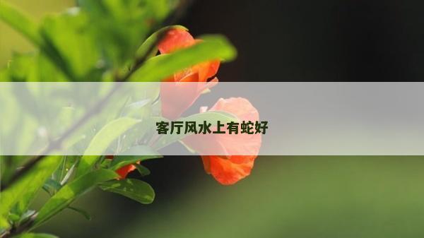 客厅风水上有蛇好