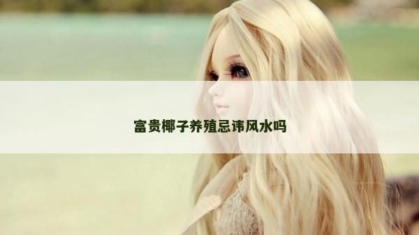 富贵椰子养殖忌讳风水吗