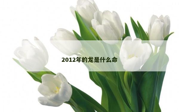 2012年的龙是什么命