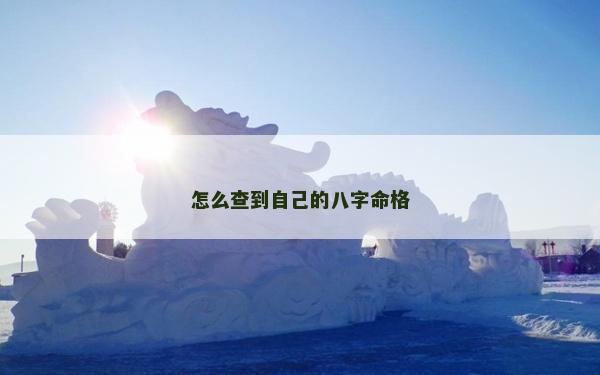 怎么查到自己的八字命格