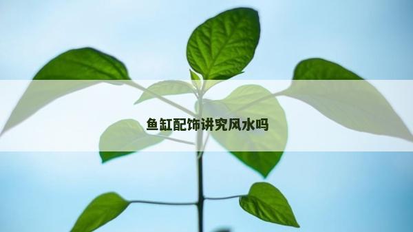 鱼缸配饰讲究风水吗