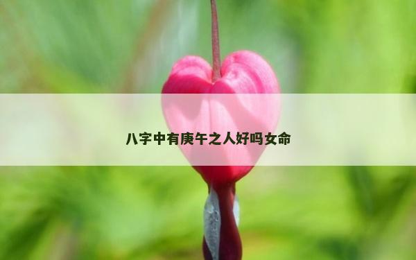 八字中有庚午之人好吗女命