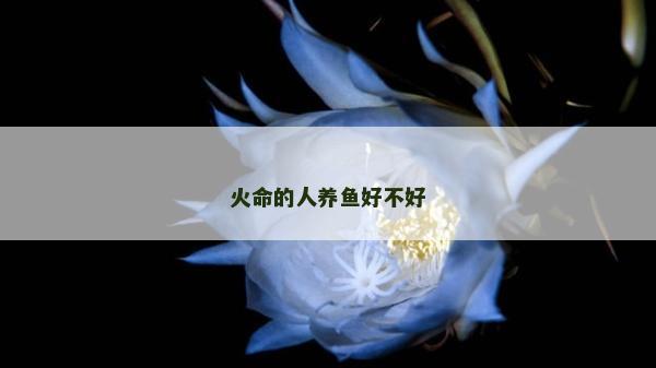 火命的人养鱼好不好