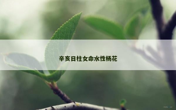 辛亥日柱女命水性杨花