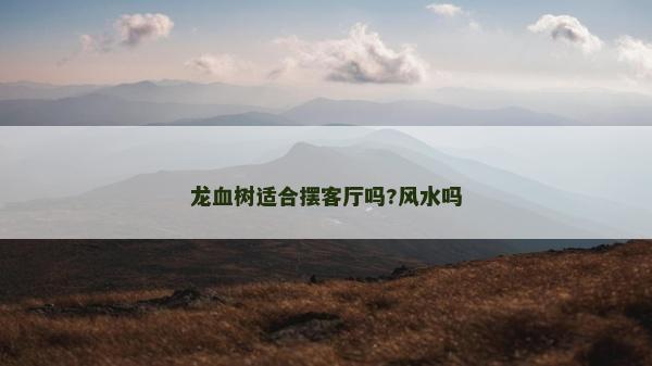 龙血树适合摆客厅吗?风水吗