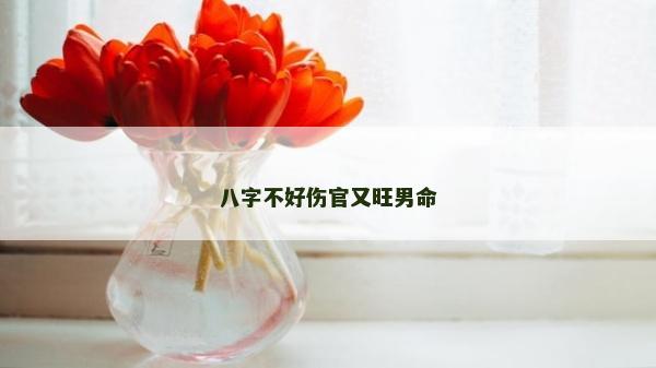 八字不好伤官又旺男命