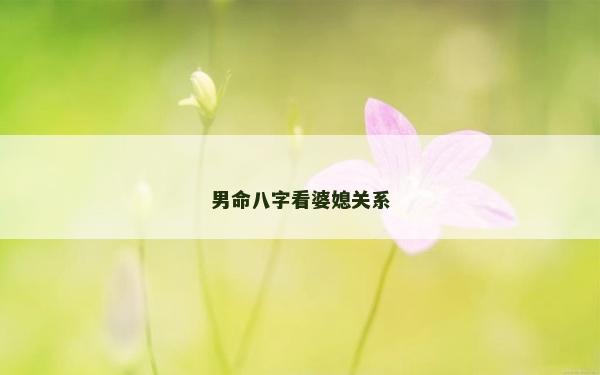 男命八字看婆媳关系