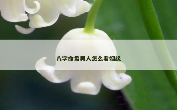 八字命盘男人怎么看姻缘