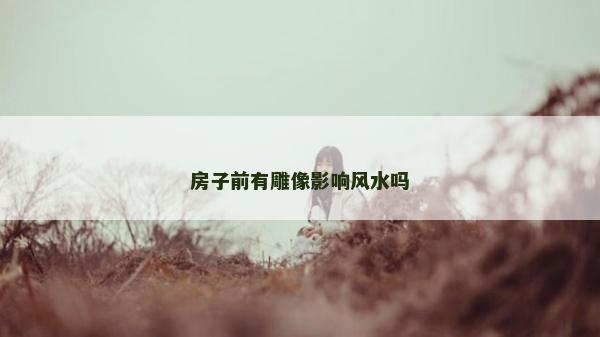 房子前有雕像影响风水吗