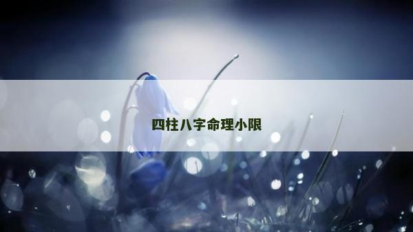 四柱八字命理小限