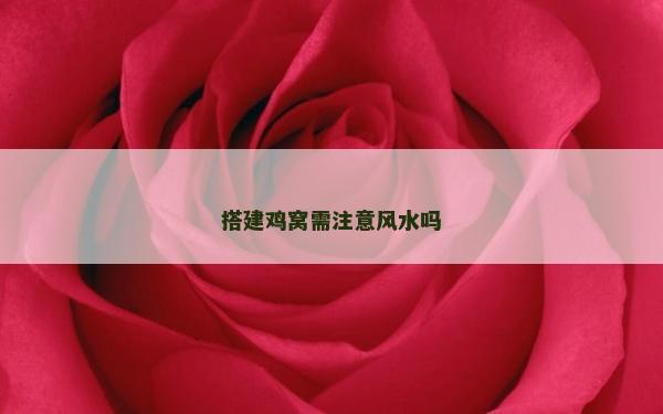 搭建鸡窝需注意风水吗