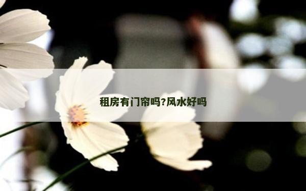 租房有门帘吗?风水好吗