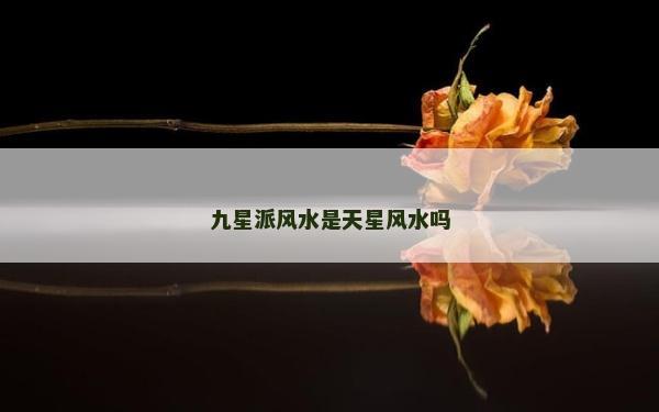 九星派风水是天星风水吗