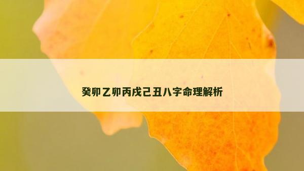 癸卯乙卯丙戌己丑八字命理解析