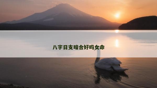 八字日支暗合好吗女命