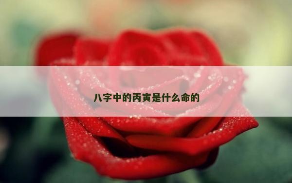 八字中的丙寅是什么命的
