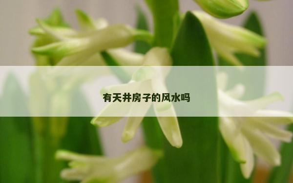 有天井房子的风水吗