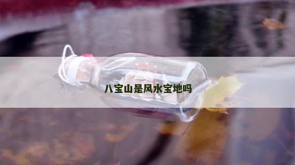 八宝山是风水宝地吗