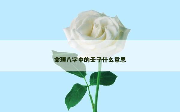 命理八字中的壬子什么意思
