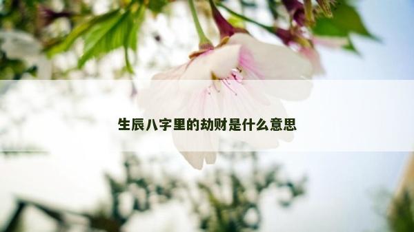 生辰八字里的劫财是什么意思