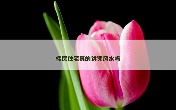楼房住宅真的讲究风水吗