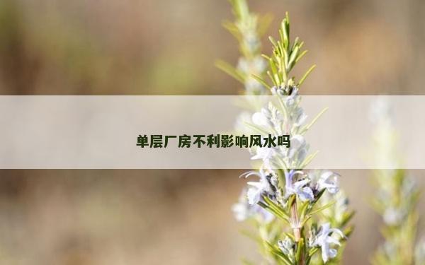 单层厂房不利影响风水吗