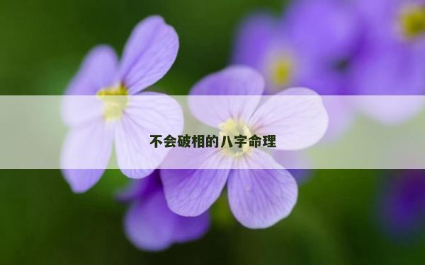 不会破相的八字命理