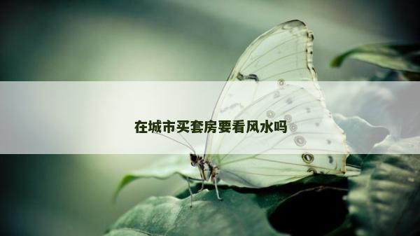 在城市买套房要看风水吗