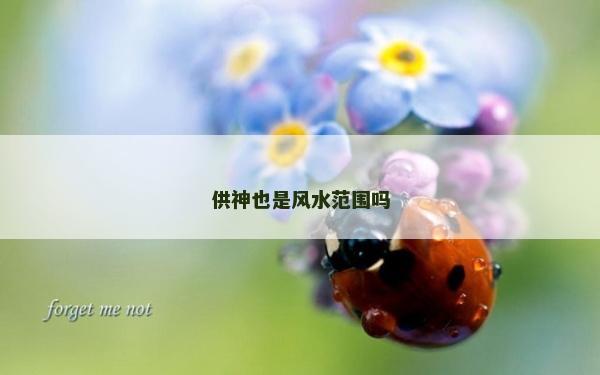供神也是风水范围吗