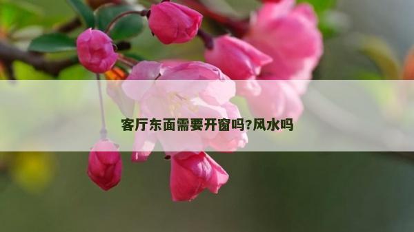 客厅东面需要开窗吗?风水吗