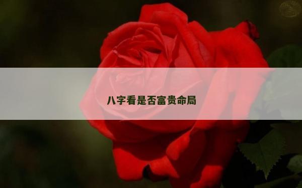 八字看是否富贵命局
