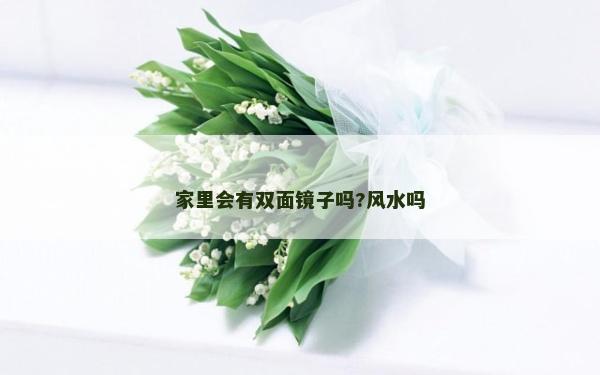 家里会有双面镜子吗?风水吗
