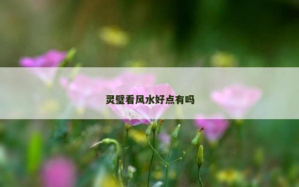 灵璧看风水好点有吗