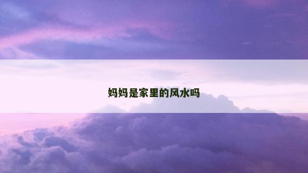 妈妈是家里的风水吗