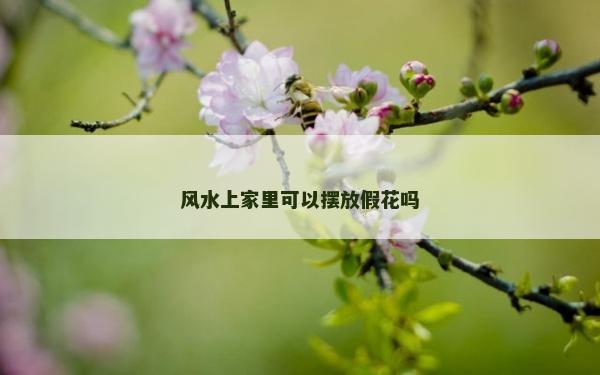 风水上家里可以摆放假花吗