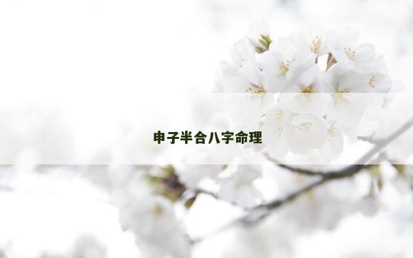 申子半合八字命理
