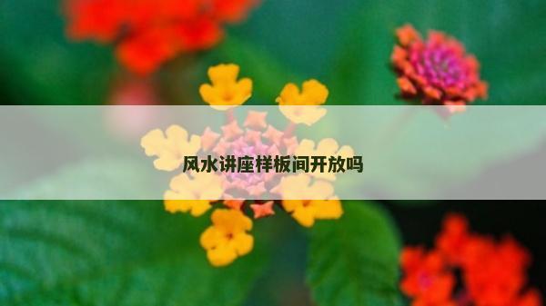 风水讲座样板间开放吗