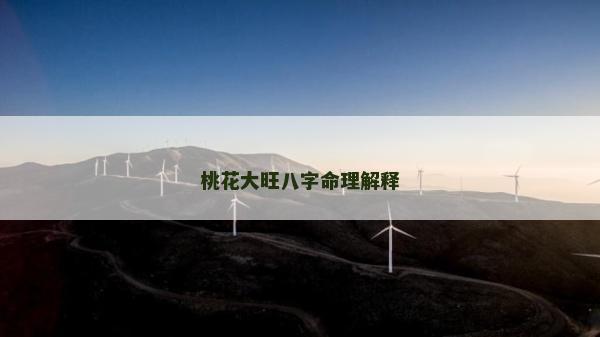 桃花大旺八字命理解释