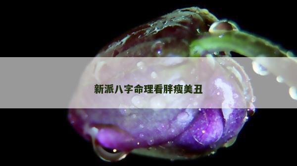 新派八字命理看胖瘦美丑