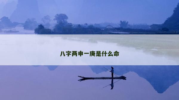 八字两申一庚是什么命