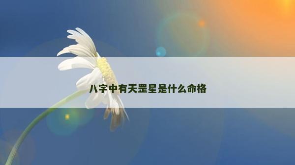 八字中有天罡星是什么命格