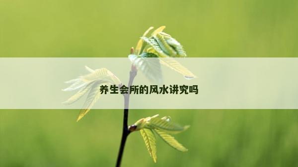 养生会所的风水讲究吗