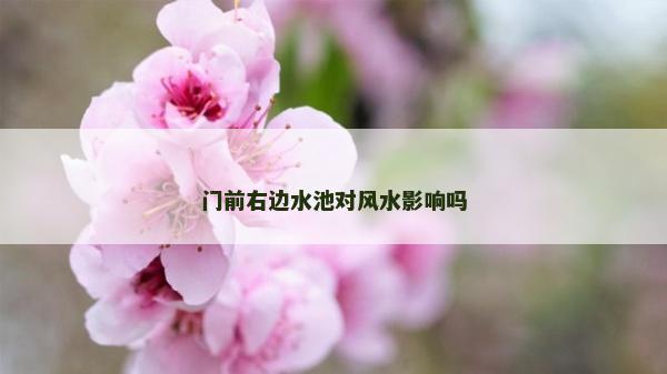 门前右边水池对风水影响吗