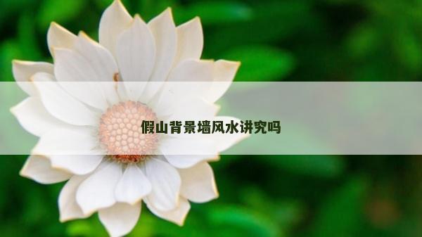 假山背景墙风水讲究吗