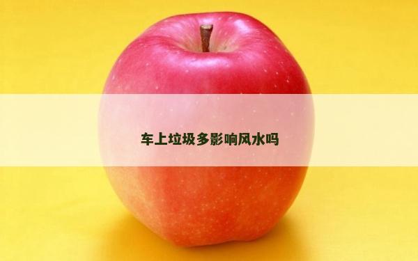 车上垃圾多影响风水吗