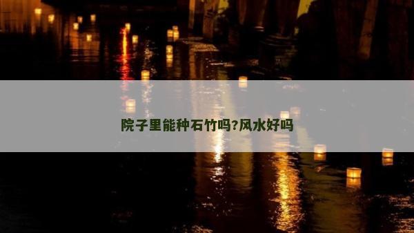 院子里能种石竹吗?风水好吗
